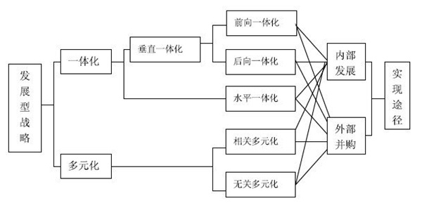 公司層戰(zhàn)略的類型和原則