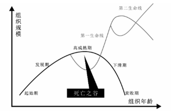 組織的生命周期曲線