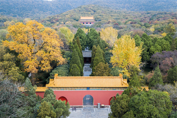 集團(tuán)與子公司管控失衡，南京集團(tuán)管控咨詢公司如何重塑協(xié)同體系？